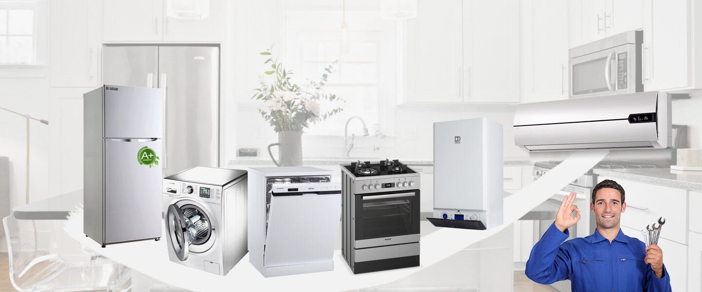 Altınekin Electrolux Servisi